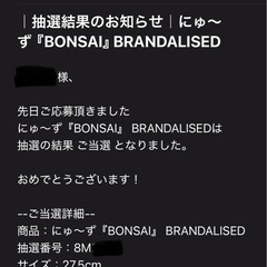 SANGACIOサンガッチョにゅ～ず『BONSAI』 BRANDALISED バンクシー グラフィティーフォトの画像
