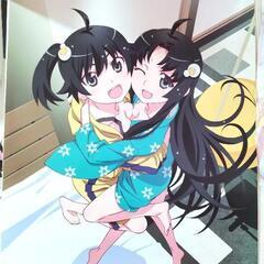 【おまけ大量付き！】匿名発送　物語シリーズ　フィギュア　13体　まとめ売り　美品の画像