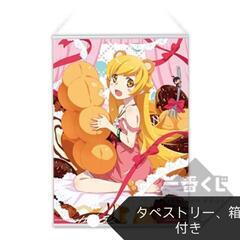 【おまけ大量付き！】匿名発送　物語シリーズ　フィギュア　13体　まとめ売り　美品の画像
