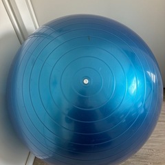 バランスボール　
の画像