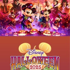 ディズニーハロウィン同行者✴︎募集