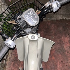スズキ　バーディ50 かぶカブの画像