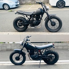 ヤマハTW200 スカチューンカスタム^_^の画像
