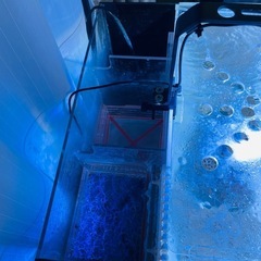 海水のセット 一式　の画像