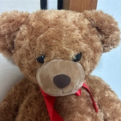 クマのぬいぐるみの画像