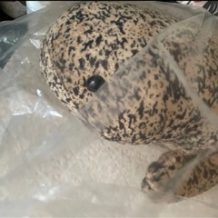 オオサンショウウオ　特大　ぬいぐるみ　未開封の画像