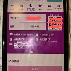 10/2 関西空港→仙台空港 搭乗券 半額の画像
