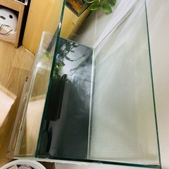 60センチ水槽と水槽台の画像