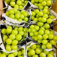山梨県産シャインマスカットの画像