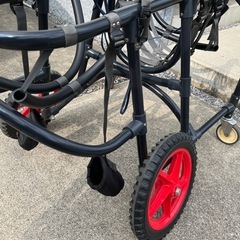 犬の車椅子　大型犬用の画像