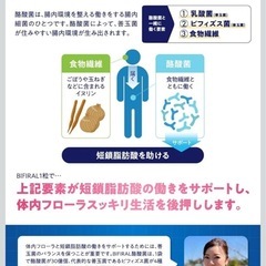 【2袋】ビフィラル 酪酸菌 体内フローラ 生きた菌活 サプリの画像