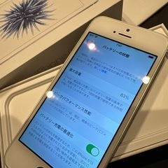 レア★Apple iPhoneSE 32GBシルバー本体ケース箱付きdocomoの画像