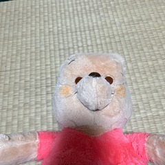 ヌイグルミの画像