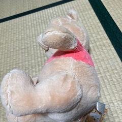 ヌイグルミの画像