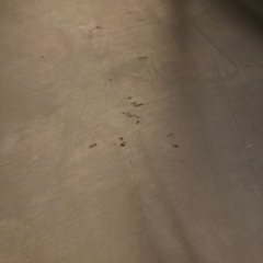 IKEA UDDEN (廃盤品)の画像