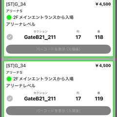 琉球ゴールデンキングス　観戦チケット
の画像