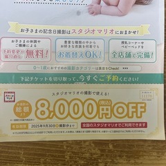 スタジオマリオ割引券の画像