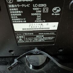 今日引き取りにこれる方の画像