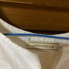 crocodileの画像