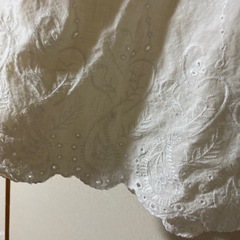 crocodileの画像