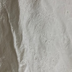 crocodileの画像