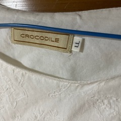 crocodileの画像