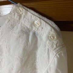 crocodileの画像