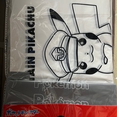 ポケモンいろいろセットの画像