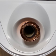 ビューティースチーマーの画像