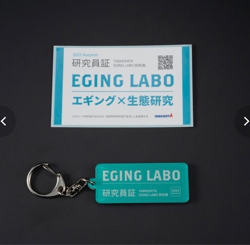 エギ王 K ポラマジ 
限定セット