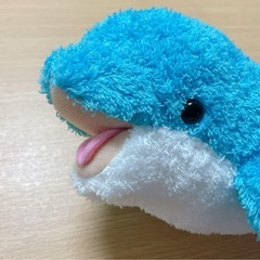 水族館　イルカのぬいぐるみの画像