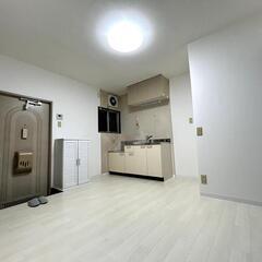 🎊敷礼無料！初期費用キャンペーン、新規内装、全照明・南向き…