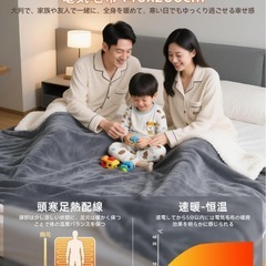 電気毛布 ダブルサイズ 200×140cm 敷き 掛け 電気膝掛け ブランケットの画像