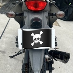 現在、新着問い合わせ停止中　【エンジン絶好調】ninja250rの画像