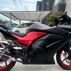 現在、新着問い合わせ停止中　【エンジン絶好調】ninja250rの画像