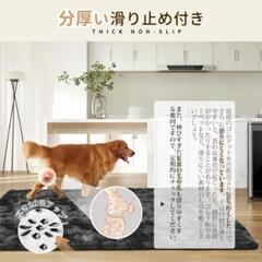 【4畳】 絨毯 カーペット ラグマット SOMANT 【ブラック】 冬用 低反発 厚手 抗菌防臭加工 防音 防ダニの画像