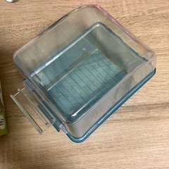 小鳥の快適バスタイムの画像