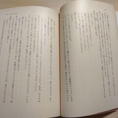 『吸血蛾』横溝正史　角川文庫の画像