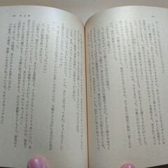 『吸血蛾』横溝正史　角川文庫の画像