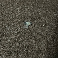 ［決まりました］1人掛けソファーの画像