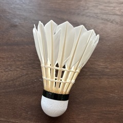 お話中、バドミントンシャトルの画像