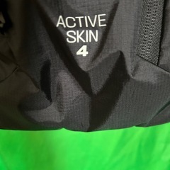 SALOMON ACTIVE SKIN 4 / XLの画像