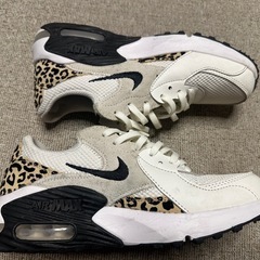 NIKE シューズの画像