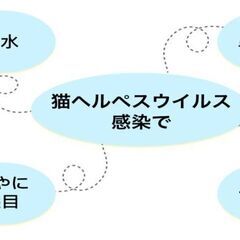 金光くん 猫用L-リジン 30gの画像