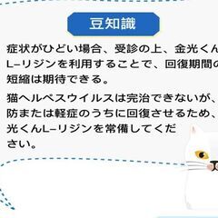 金光くん 猫用L-リジン 30gの画像