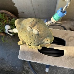 カエル置物の画像