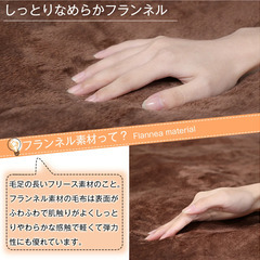 電気毛布 180×130cm　掛け 敷き 兼用　フランネル厚手生地　タイマー　ダニ退治　丸洗い可　省エネの画像