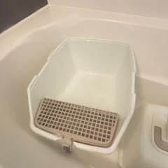 猫tトイレの画像