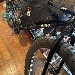 サーリー　パグスレイの画像