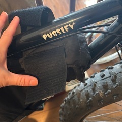 サーリー　パグスレイの画像